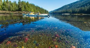 Destinații extraordinar de spectaculoase despre care habar nu aveai că există (Burnaby Narrows Intertidal Zone și Giant’s Causeway) Destinații extraordinar de spectaculoase