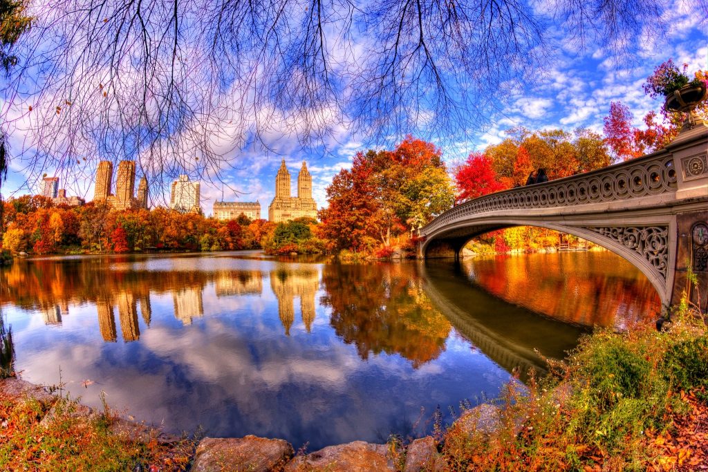Central Park - New York