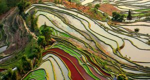 Destinații extraordinar de spectaculoase despre care habar nu aveai că există (Caño Cristales și Honghe Hani Rice Terraces) Destinații extraordinar de spectaculoase