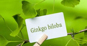 Nu ai cumpărat niciodată suplimente alimentare cu ginkgo biloba? Iată 3 motive pentru care ar trebui să le încerci ginkgo biloba