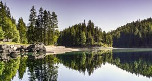 Cum deosebești un fotograf amator de unul profesionist, online? fotograf
